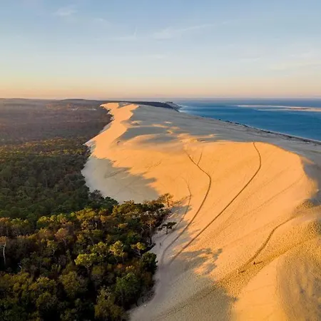 L'escale Arcachonnaise - T3 - 6 Couchages - Wifi- Parking Prive Gratuit - Plages Commerces A Pied Daire *