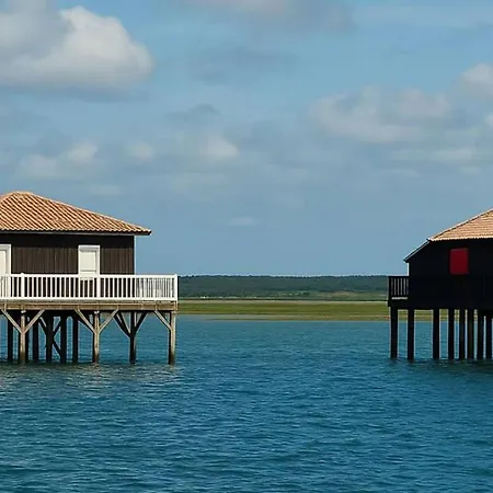 L'escale Arcachonnaise *